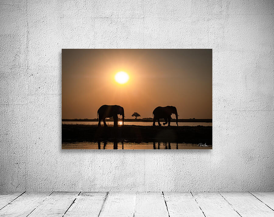 Silhouette Sunset Wall Preview