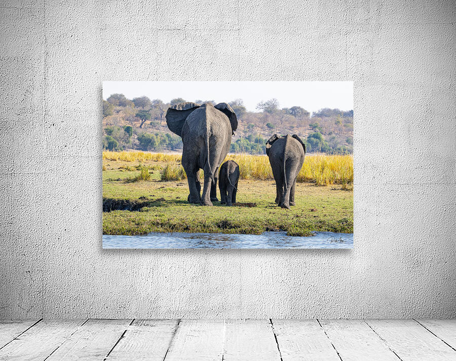 An Elephant Goodbye Wall Preview