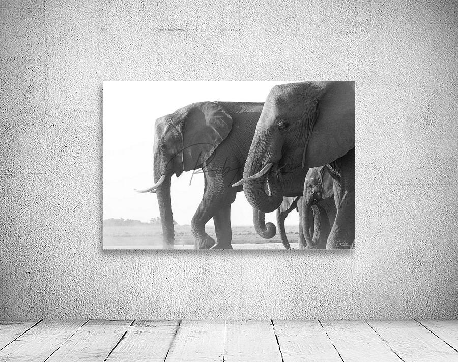 Dusty Dinner Wall Preview