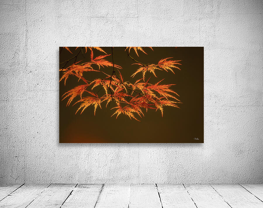 Branching Out Wall Preview