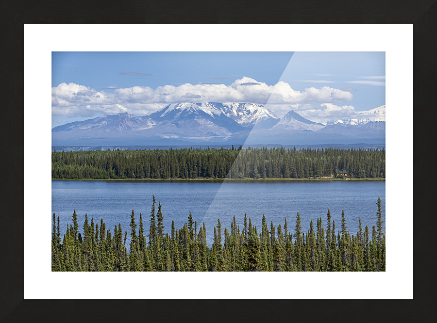  Fine Art print