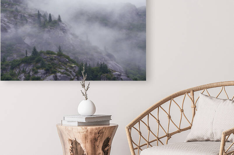 Pines on rounded cliffs in morning mist by Andreas Himmler