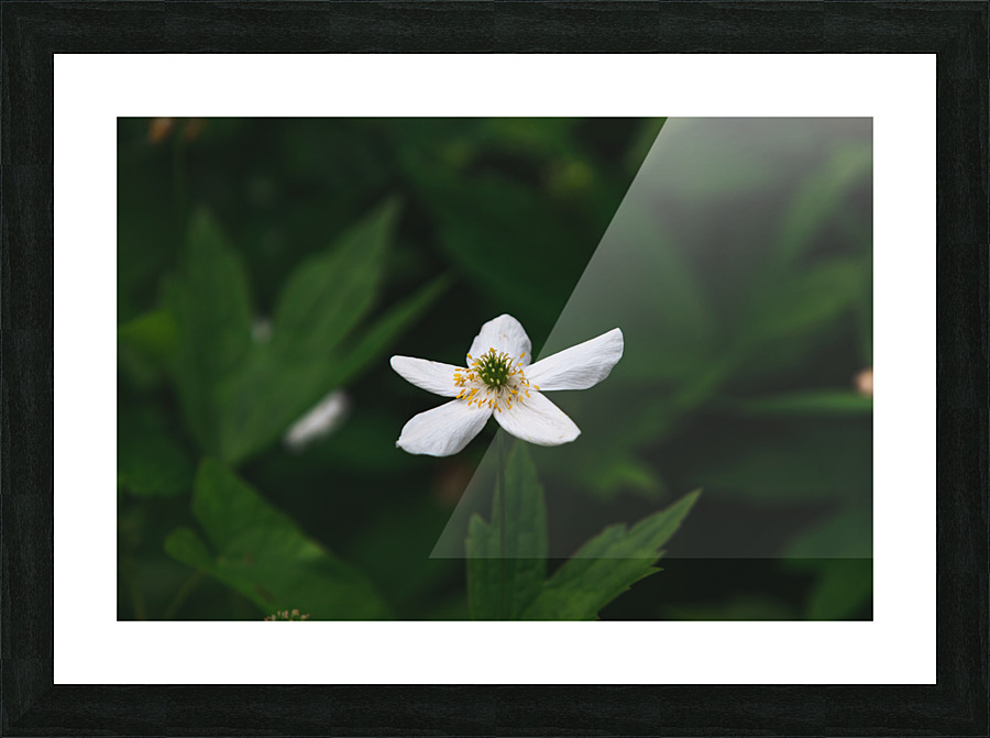 fleure Picture Frame print