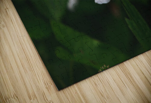 fleure stevegoyette puzzle