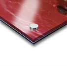 Arctic Shore Acrylic print