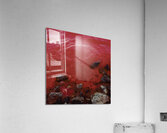 Arctic Shore Acrylic Print