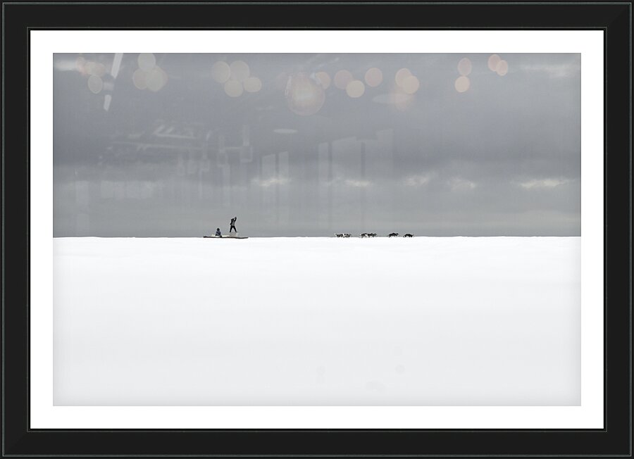 Dog Sled Picture Frame print