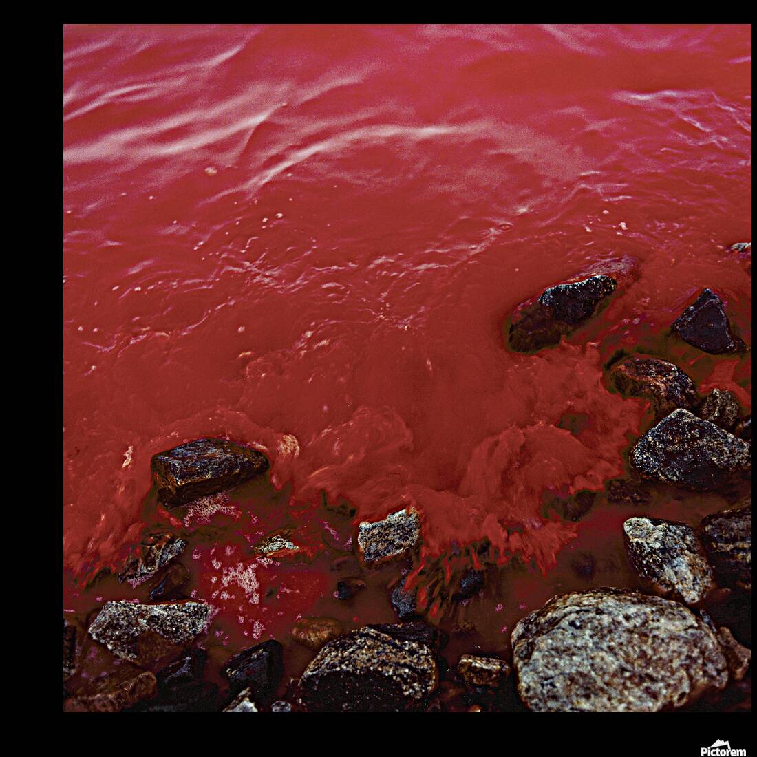 Arctic Shore Reproduction