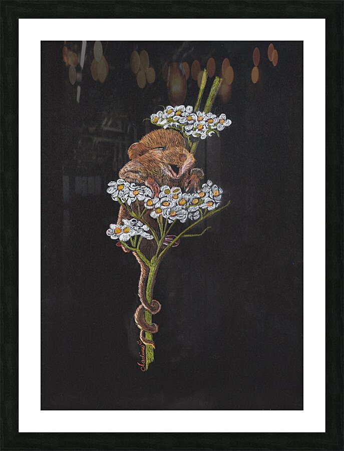 voir plus loin Picture Frame print
