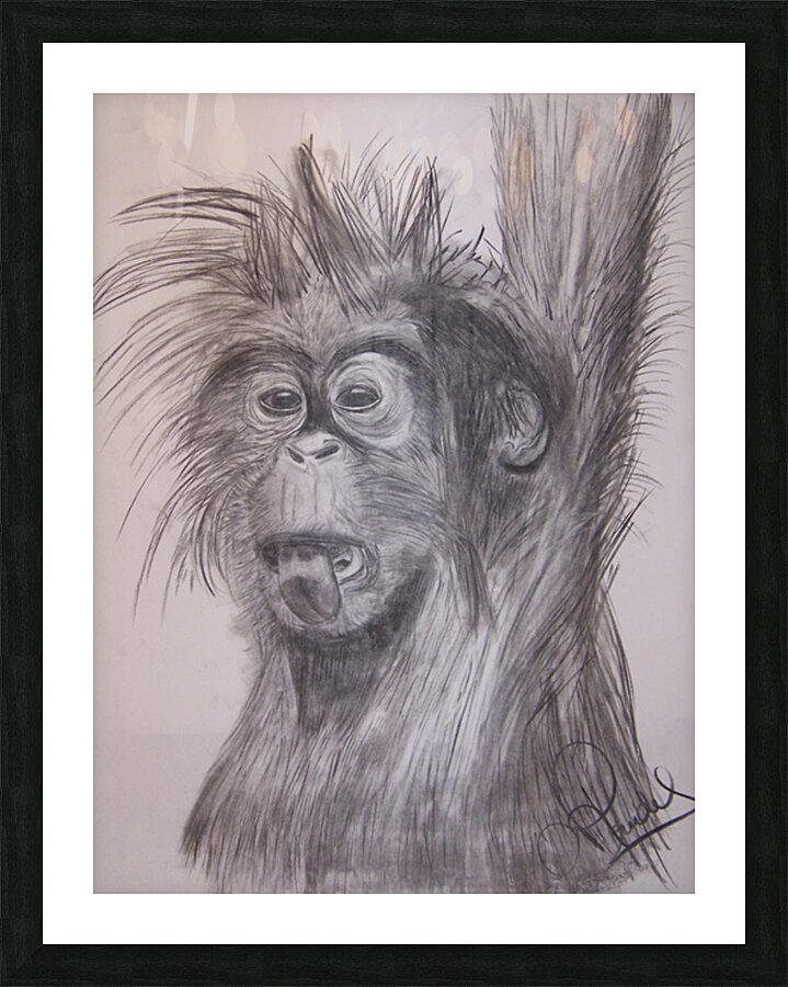 petit singe Picture Frame print