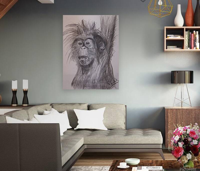 petit singe Reproduction