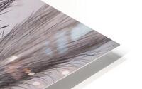 petit singe HD Metal print