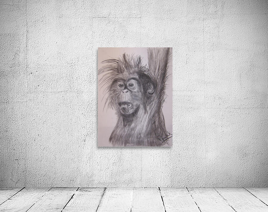 petit singe Wall Preview