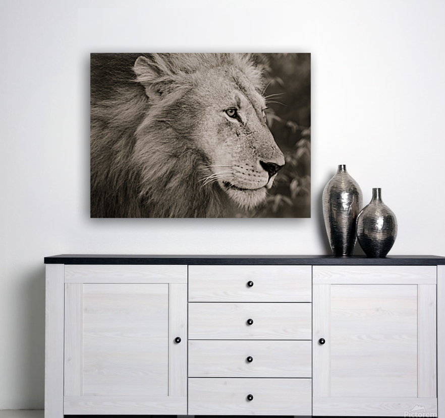Lion Returning  Home Reproduction
