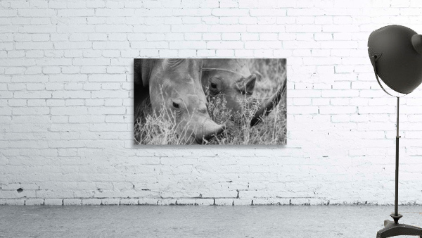 Rhino Breakfast Wall Preview