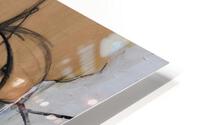 Aristo HD Metal print