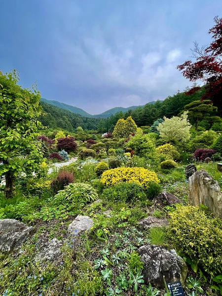 Garden View Digital Download