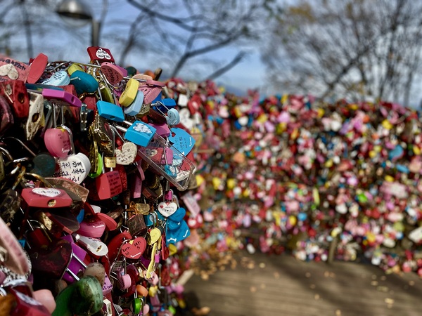 Love Locks Digital Download