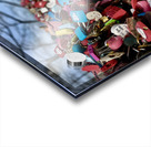 Love Locks Acrylic print