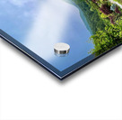 Garden View Acrylic print