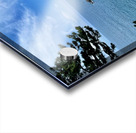 Oedolgae Acrylic print