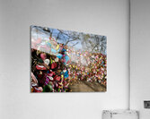 Love Locks Acrylic Print