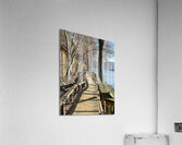 Nami Island Boardwalk Acrylic Print