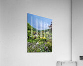 Garden View Acrylic Print