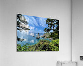 Oedolgae Acrylic Print