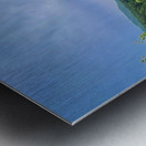 Garden View Metal print