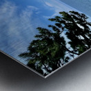 Oedolgae Metal print