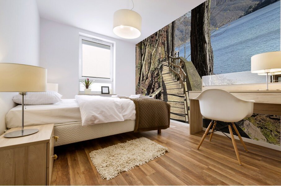 Nami Island Boardwalk Mural print