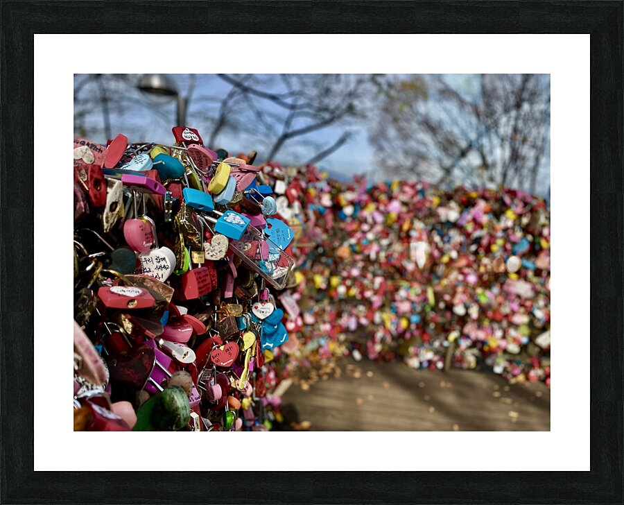 Love Locks Picture Frame print