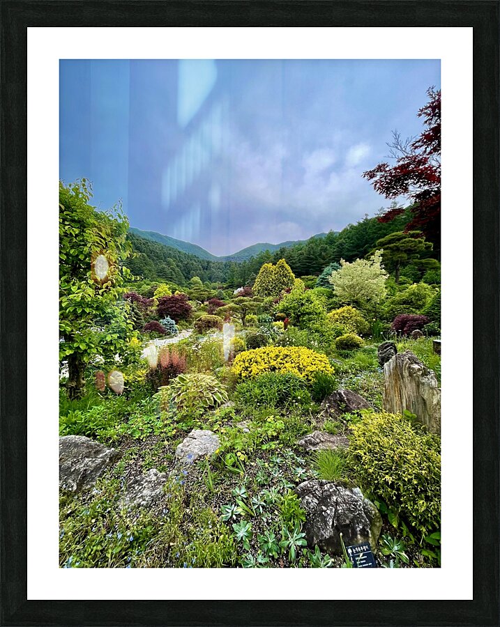 Garden View Picture Frame print