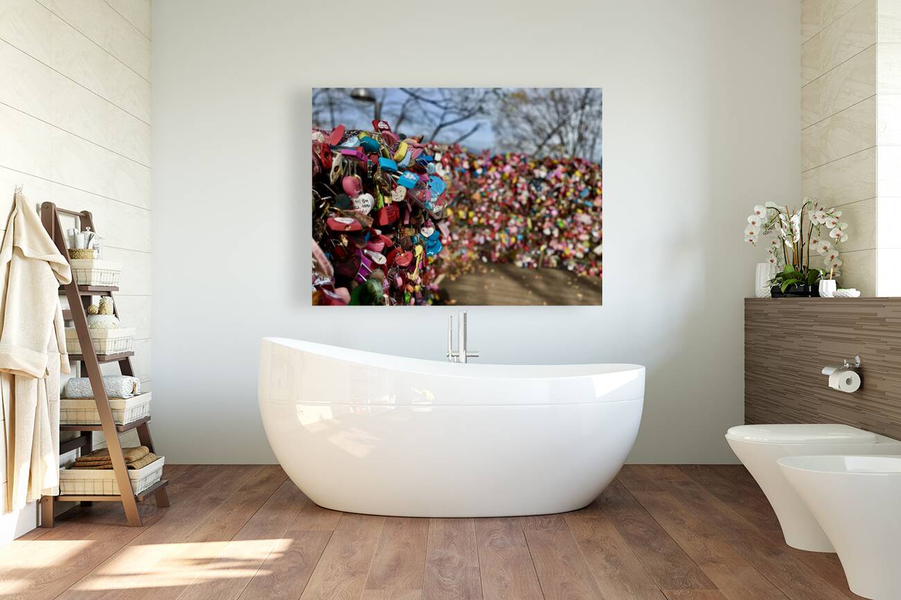 Love Locks Reproduction