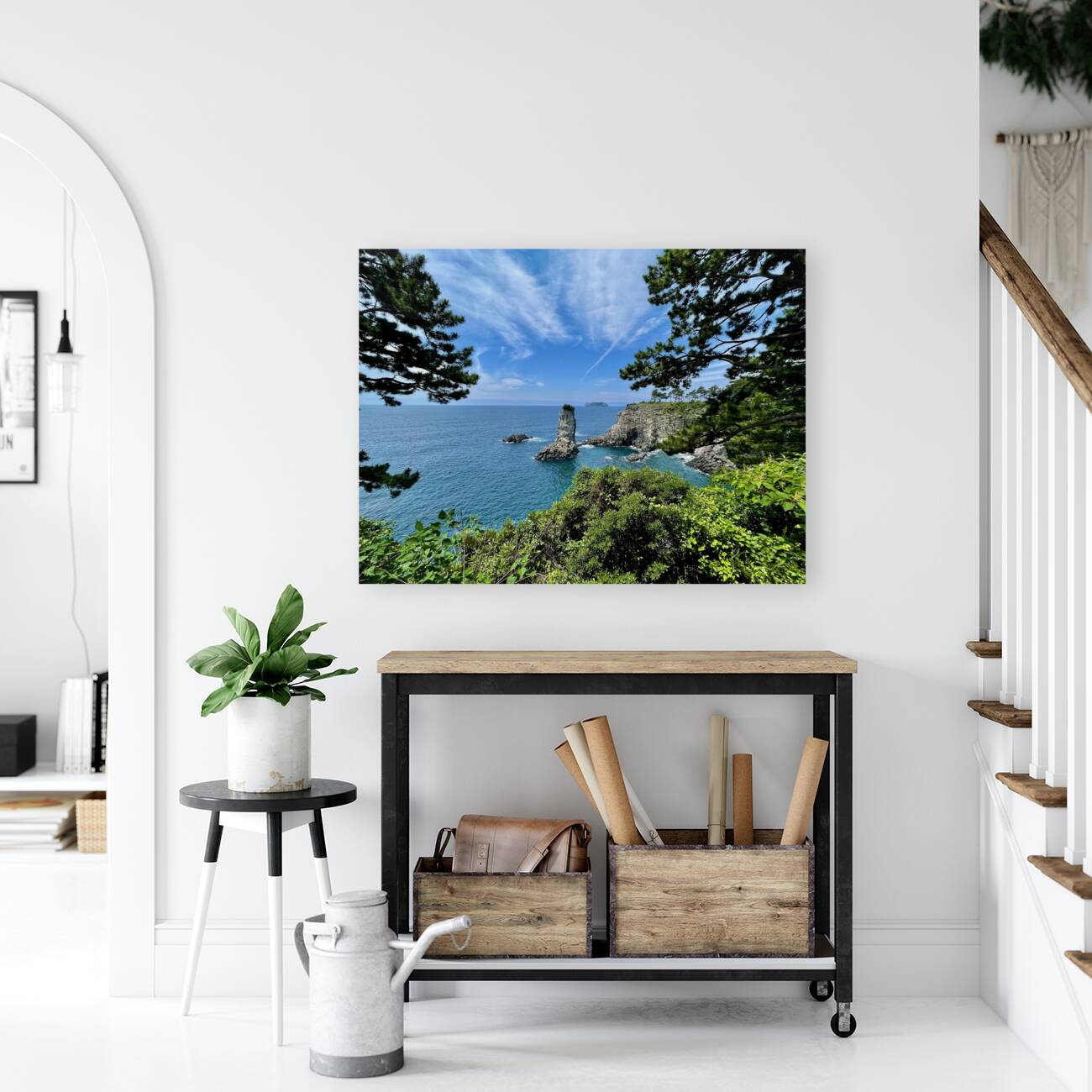 Oedolgae Reproduction