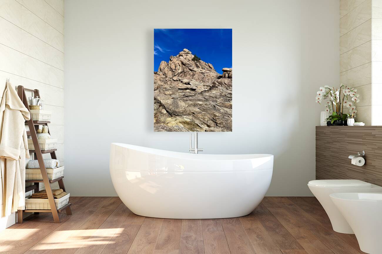 Seoraksan Summit Reproduction