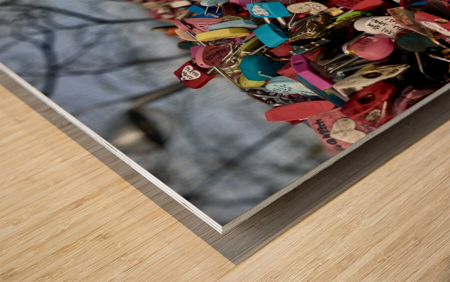 Love Locks Wood print