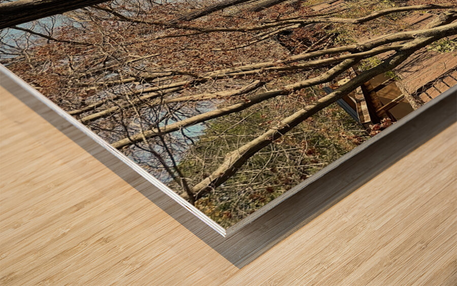 Nami Island Boardwalk Wood print