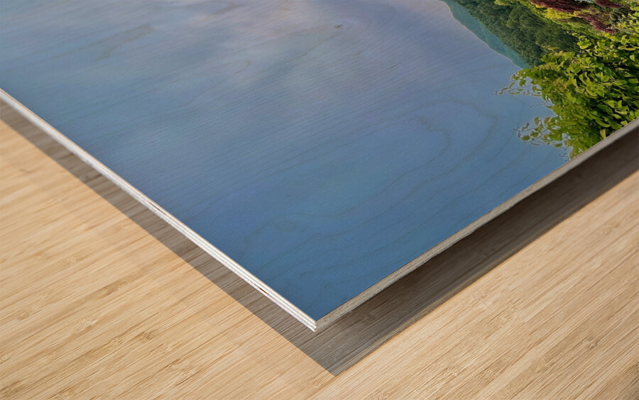 Garden View Wood print