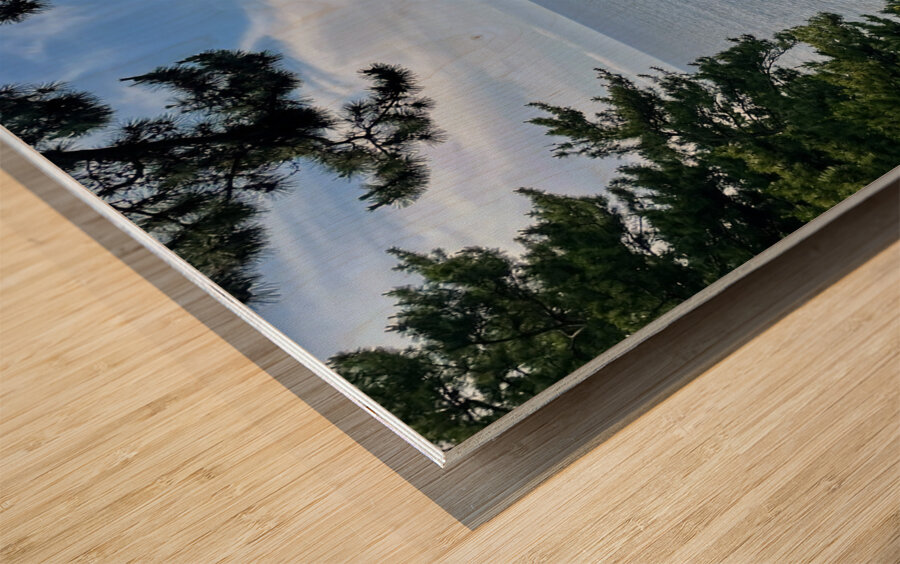 Oedolgae Rock Wood print