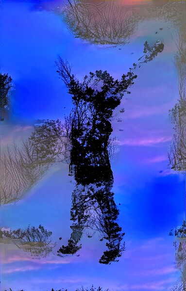 img7429167 bc1a5570535542a9.v1 Digital Download