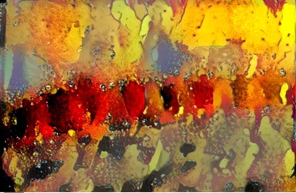 img7431888 0c994178b4719dda.v1 Digital Download