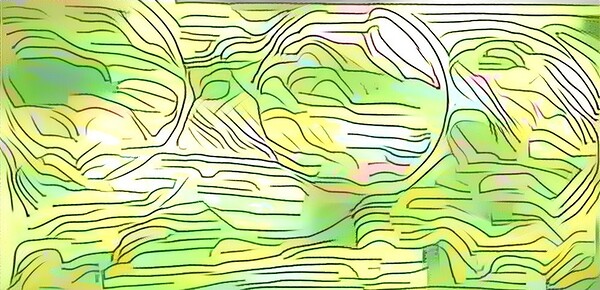 img7431688 4cc34ccdefa6a6f3.v1 Digital Download