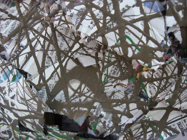 Chronicle Digital Download