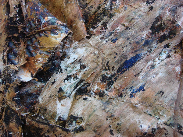 DSC02236 Digital Download