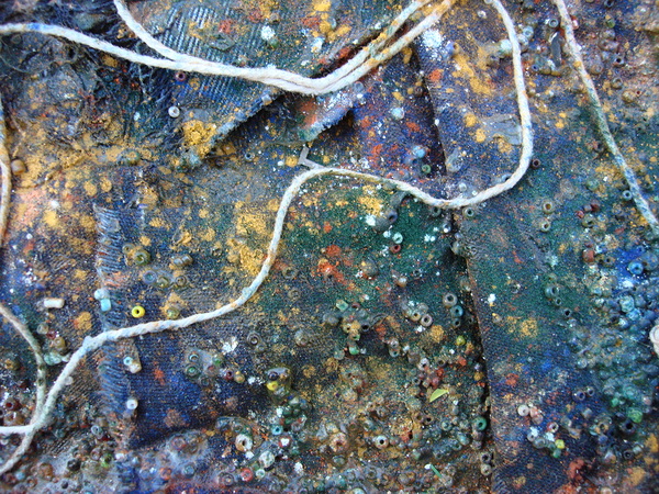 Textured Tapestry Digital Download