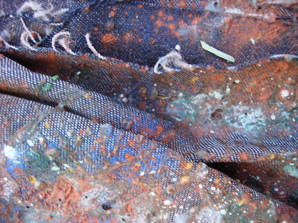 Textures of Time: Decay and Renewal Digital Download