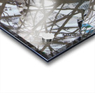 Chronicle Acrylic print