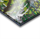 Earthy streaks Acrylic print